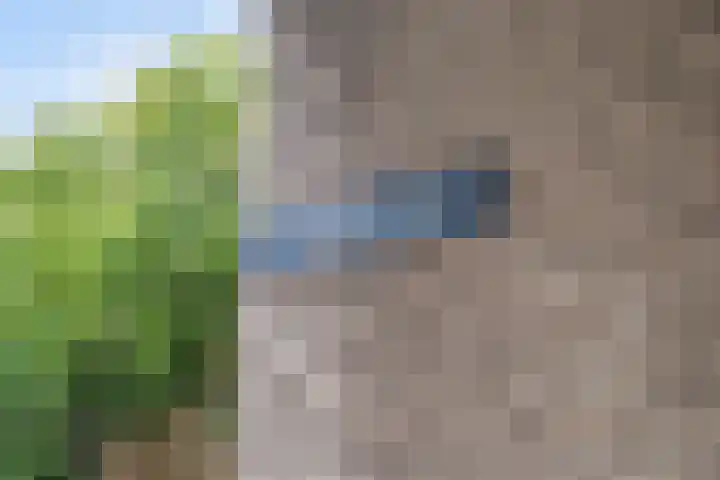 Vendelhof 72 Schiedam thumbnail 43