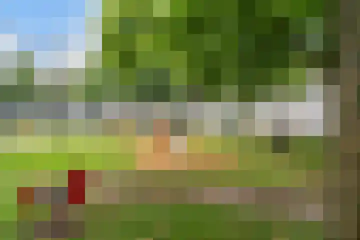 Vendelhof 72 Schiedam thumbnail 44