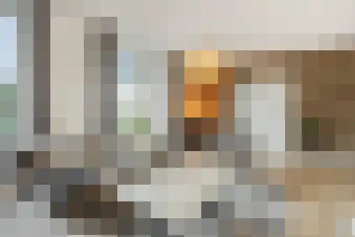 Vendelier 14 Deurne thumbnail 12