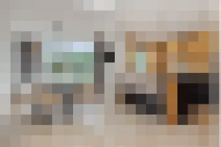 Vendelier 14 Deurne thumbnail 15