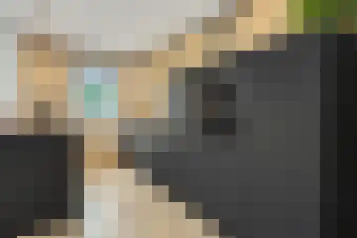 Vendelier 14 Deurne thumbnail 16