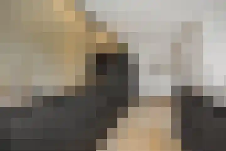 Vendelier 14 Deurne thumbnail 18