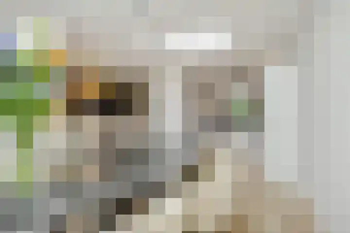 Vendelier 14 Deurne thumbnail 19