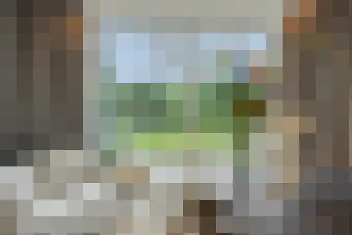 Vendelier 14 Deurne thumbnail 20