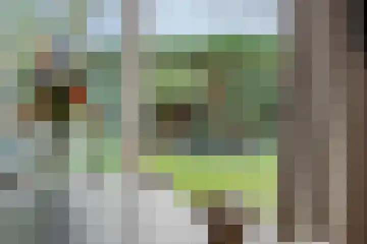 Vendelier 14 Deurne thumbnail 21