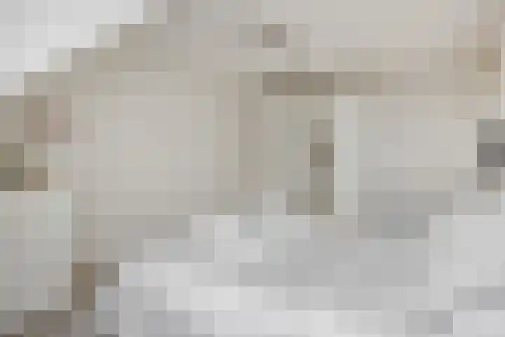 Vendelier 14 Deurne thumbnail 22