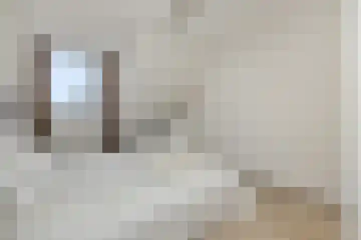 Vendelier 14 Deurne thumbnail 23