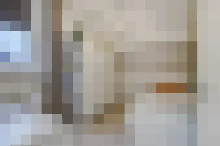 Vendelier 14 Deurne thumbnail 25