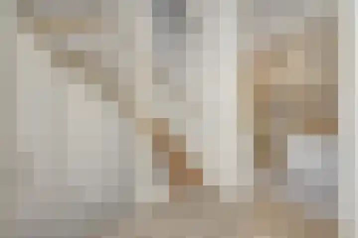Vendelier 14 Deurne thumbnail 28