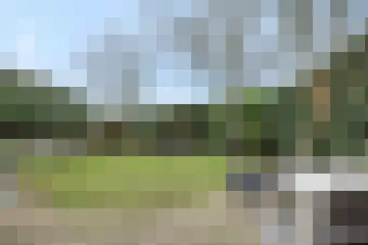 Vendelier 14 Deurne thumbnail 31