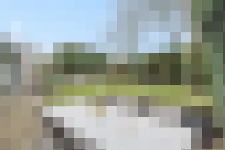 Vendelier 14 Deurne thumbnail 32