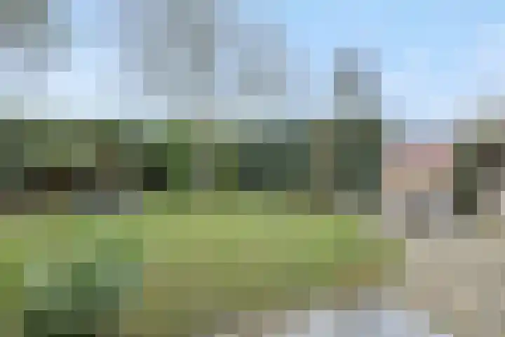 Vendelier 14 Deurne thumbnail 33