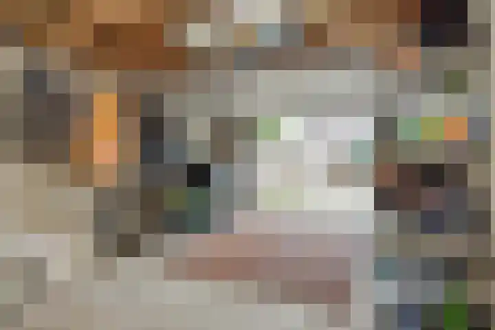Vendelier 14 Deurne thumbnail 38