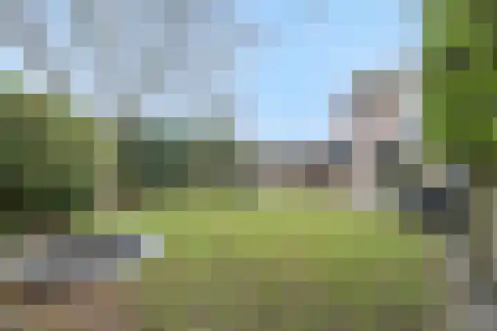 Vendelier 14 Deurne thumbnail 5