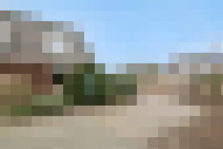 Vendelier 14 Deurne thumbnail 6