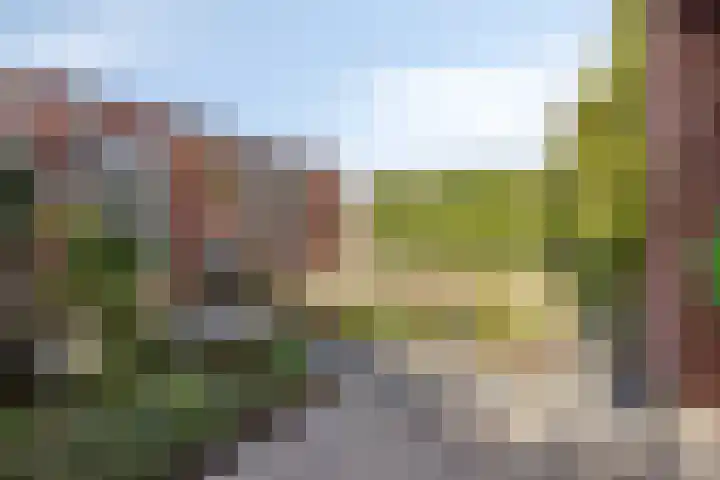 Vendelier 17 Best thumbnail 10