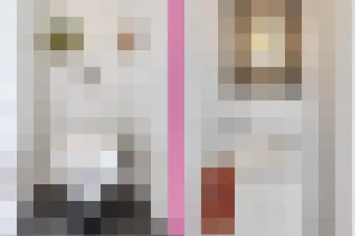 Vendelier 17 Best thumbnail 15