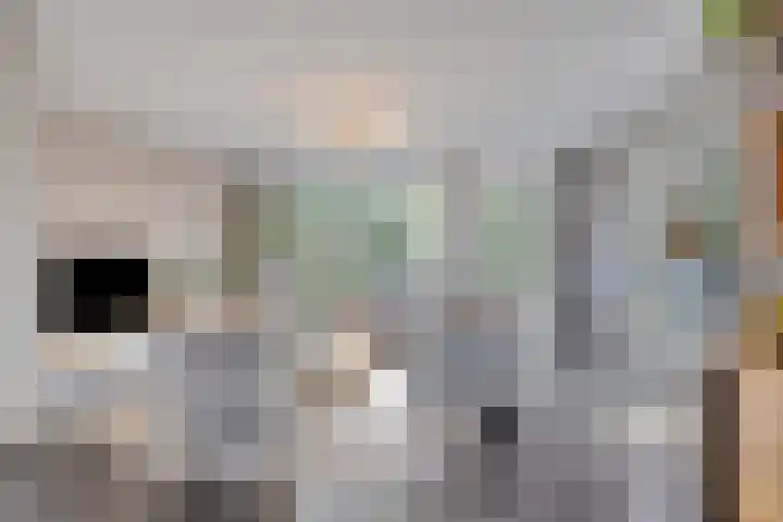 Vendelier 17 Best thumbnail 16