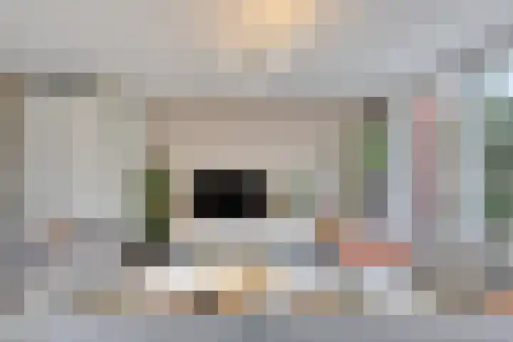 Vendelier 17 Best thumbnail 18