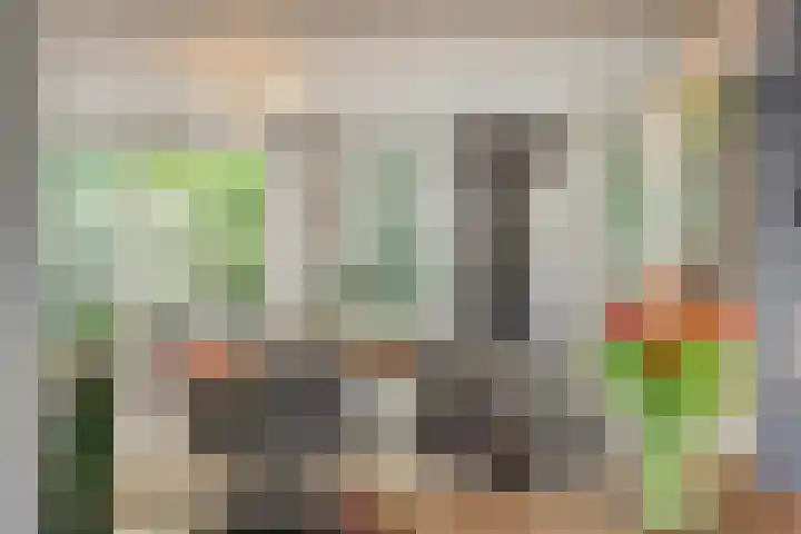 Vendelier 17 Best thumbnail 19
