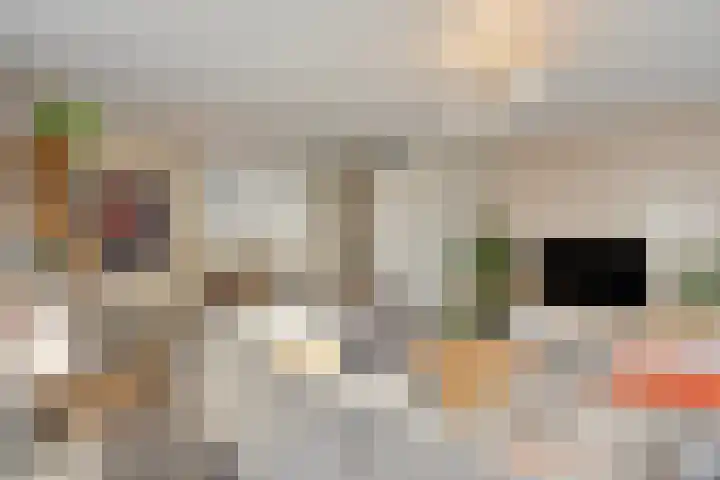 Vendelier 17 Best thumbnail 20
