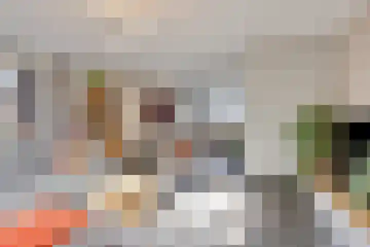 Vendelier 17 Best thumbnail 21