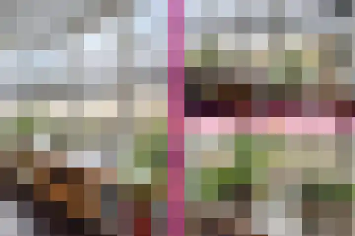 Vendelier 17 Best thumbnail 34