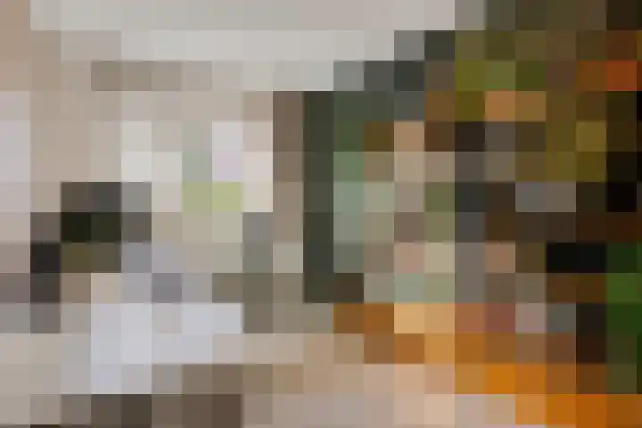 Vendelier 17 Best thumbnail 45