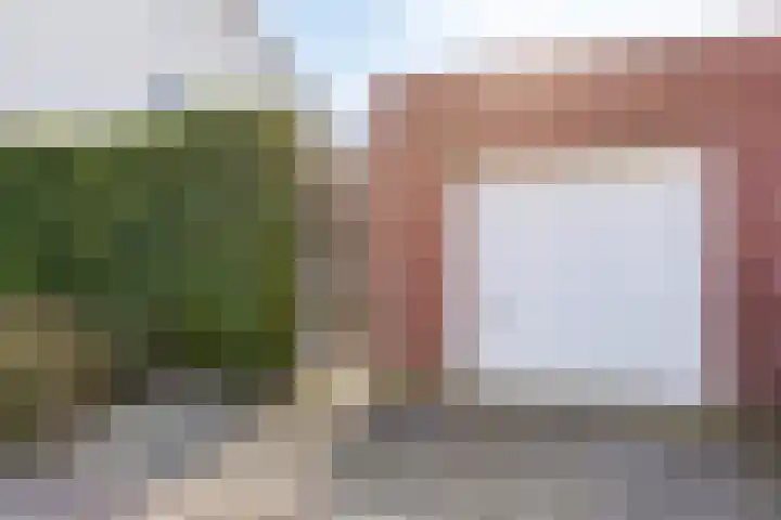 Vendelier 17 Best thumbnail 57