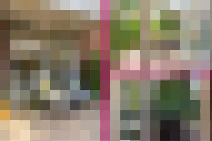 Vendelier 17 Best thumbnail 59
