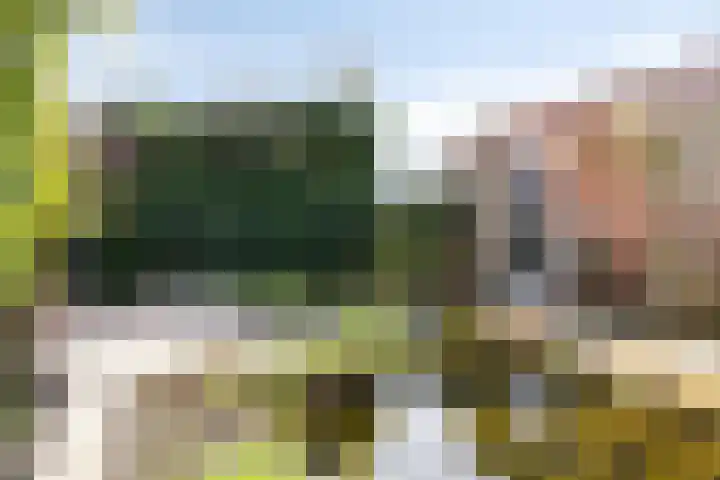 Vendelier 17 Best thumbnail 62