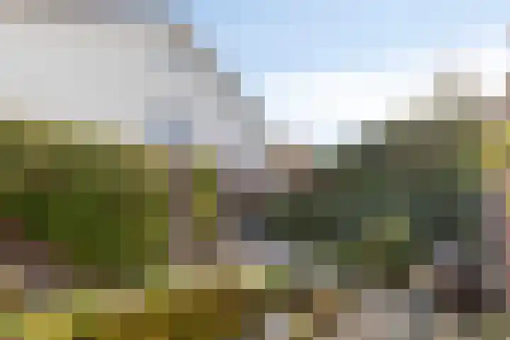 Vendelier 17 Best thumbnail 63