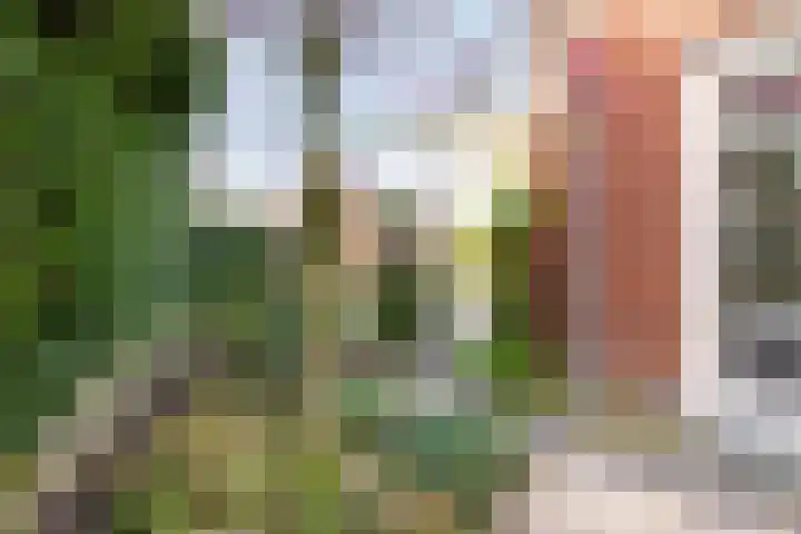 Vendelier 17 Best thumbnail 64