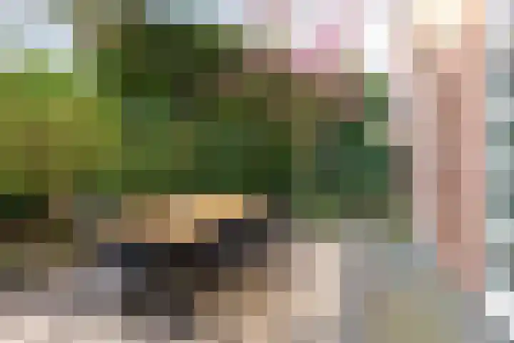 Vendelier 17 Best thumbnail 65
