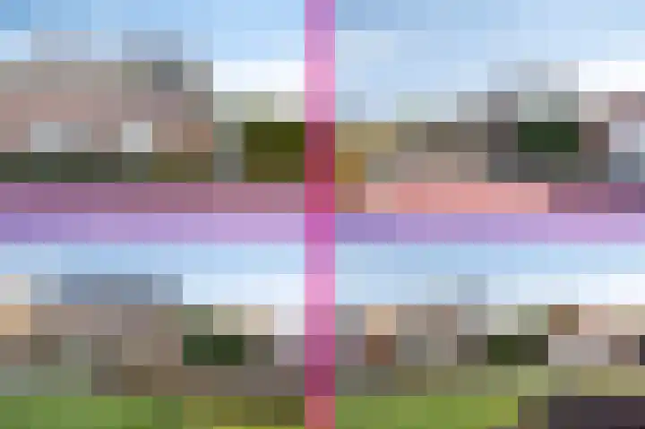 Vendelier 17 Best thumbnail 69
