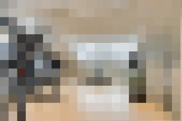 Vendelier 17 Best thumbnail 8