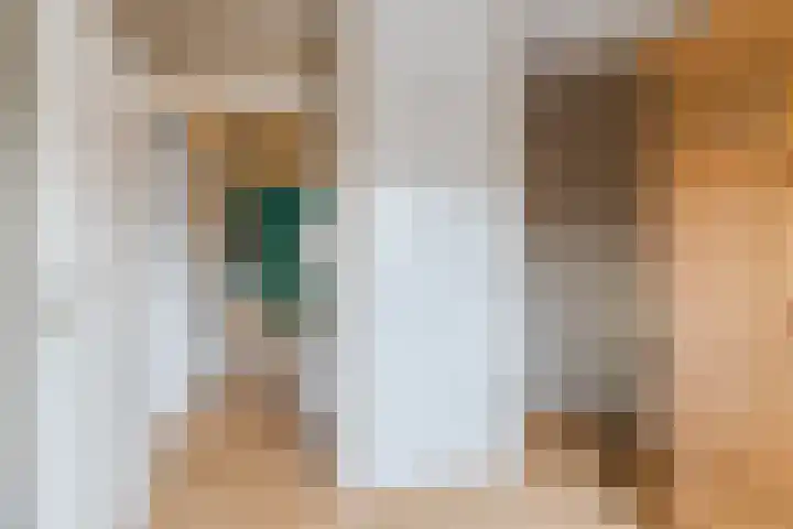 Vendelier 19 Bergeijk thumbnail 23
