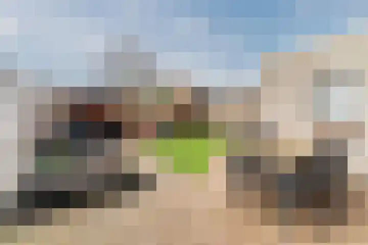 Vendelier 19 Bergeijk thumbnail 29