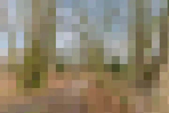 Vendelier 19 Bergeijk thumbnail 36