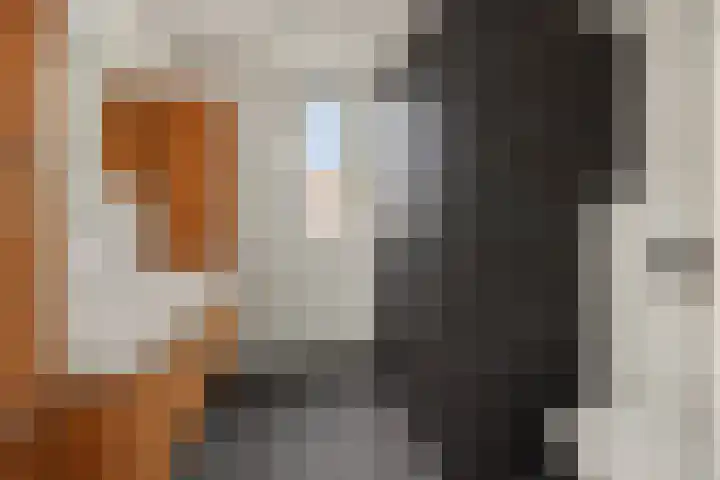 Vendelier 2 Deurne thumbnail 4