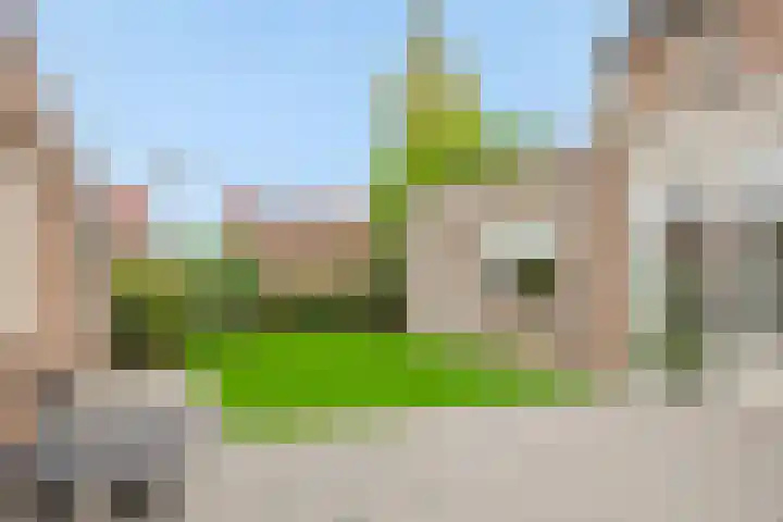 Vendelier 2 Deurne thumbnail 5