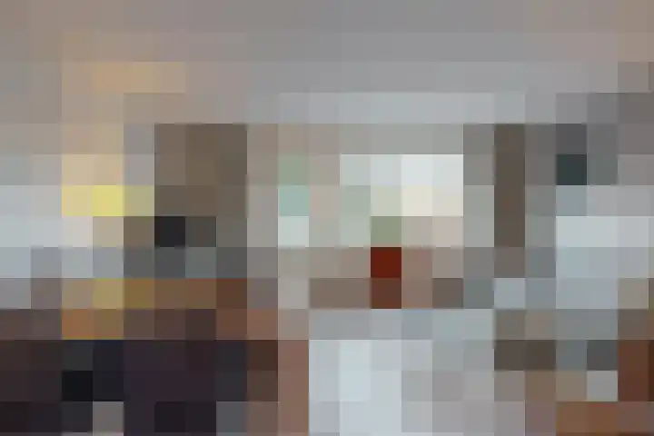 Vendelier 2 Heelsum thumbnail 11