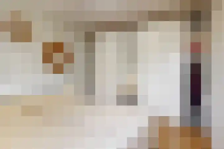 Vendelier 2 Heelsum thumbnail 14