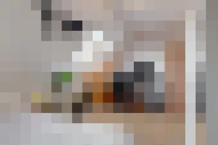 Vendelier 2 Heelsum thumbnail 16