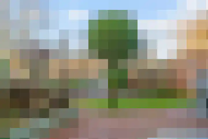 Vendelier 2 Heelsum thumbnail 24
