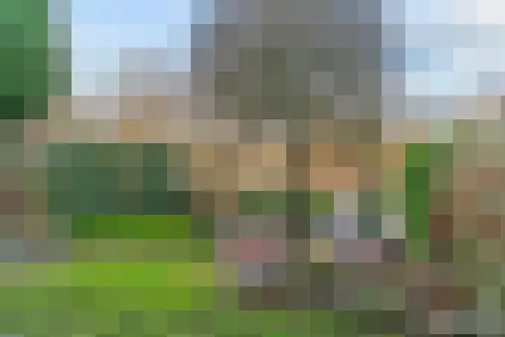 Vendelier 2 Heelsum thumbnail 25