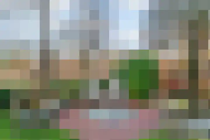 Vendelier 2 Heelsum thumbnail 26