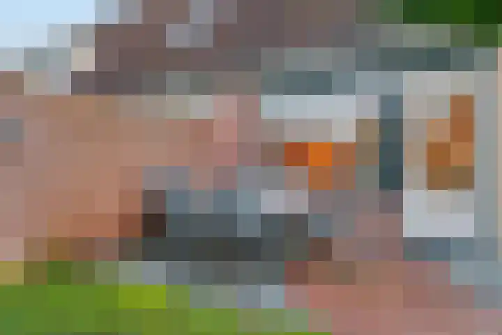 Vendelier 2 Heelsum thumbnail 27