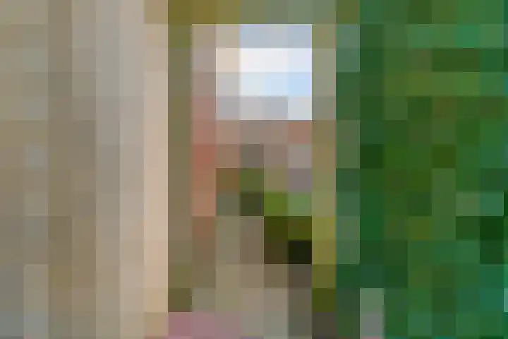 Vendelier 2 Heelsum thumbnail 29