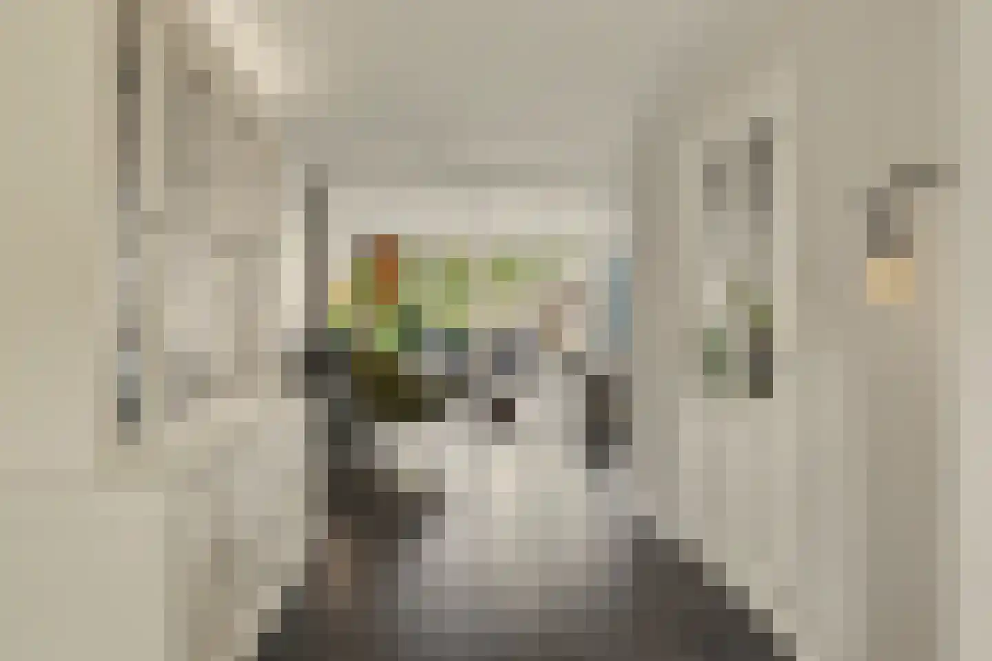 Vendelier 23 Bergeijk thumbnail 10